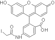 6-ɹ