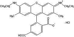 TAMRA|6-_6G